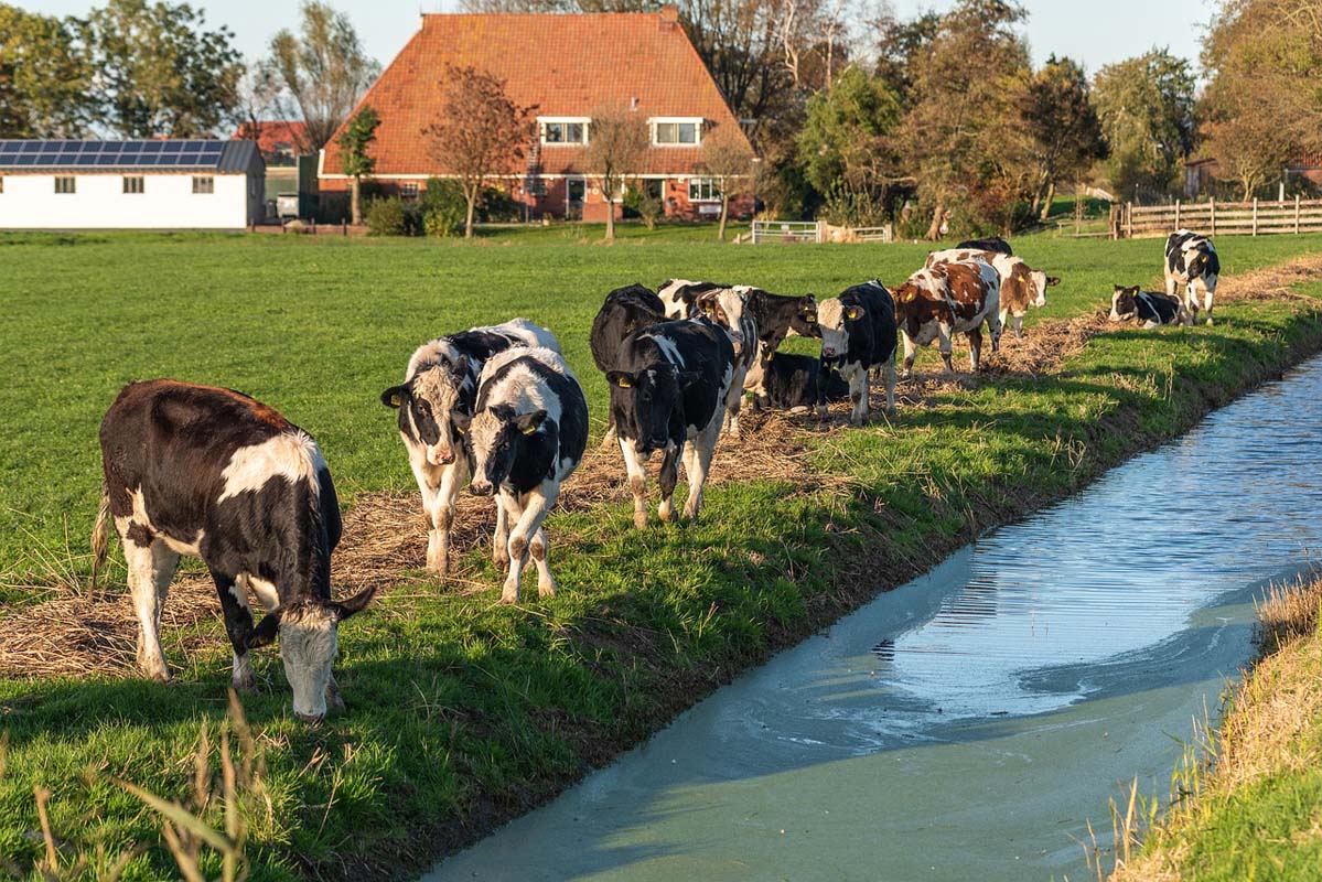 Friesland historisches Dorf